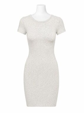 Aritzia wilfred free tiny t shirt dress